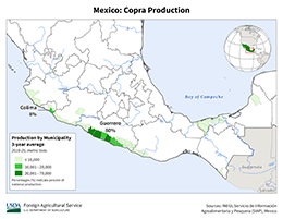 images\MX\Municipality\Mexico_Copra_preview.png